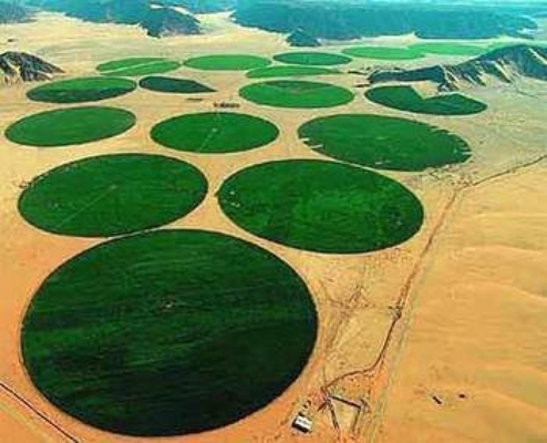 Automatic Power-driven Center Pivot Irrigation Equipment Farmland Machinery Equipment Center Pivot Irrigation System
