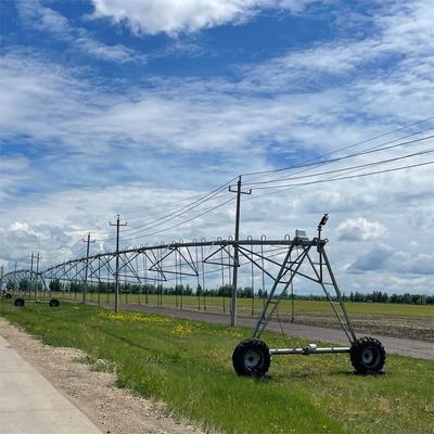 DYP-535 Farm Irrigation Used for Round Plots Center Pivot Irrigation 50ha System for Sale